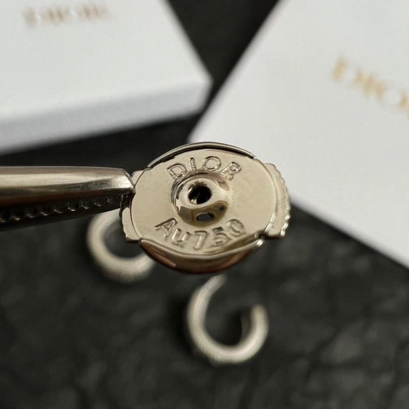 TopPick Christian Dior Earrings 233507