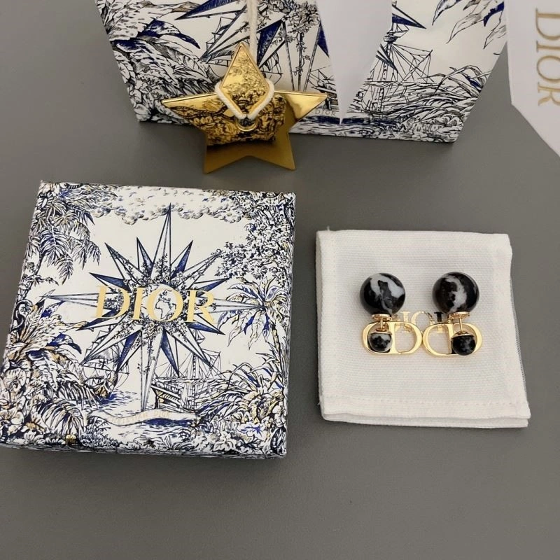 Christian Dior Earrings Sleek 233501