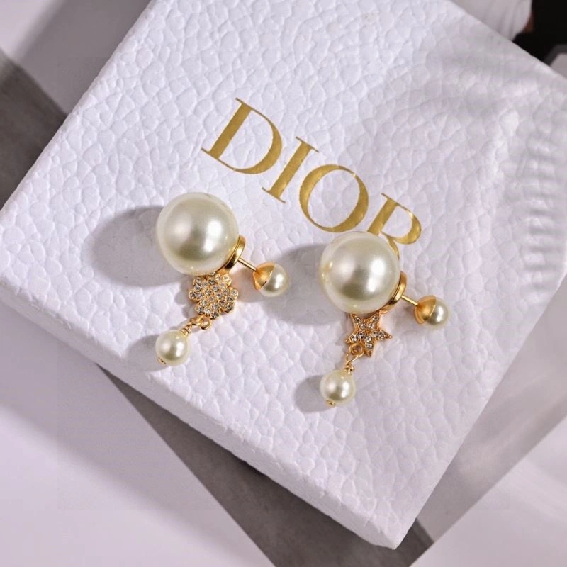 Popular Christian Dior Earrings 233486