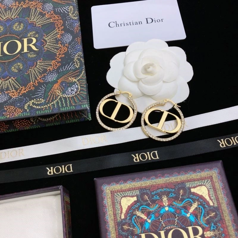 Christian Dior Earrings HighQuality 233495