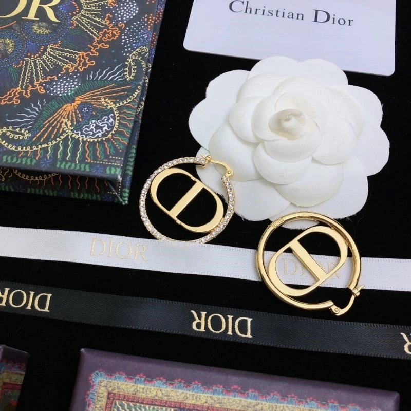 Christian Dior Earrings HighQuality 233495