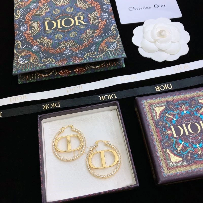 Christian Dior Earrings HighQuality 233495