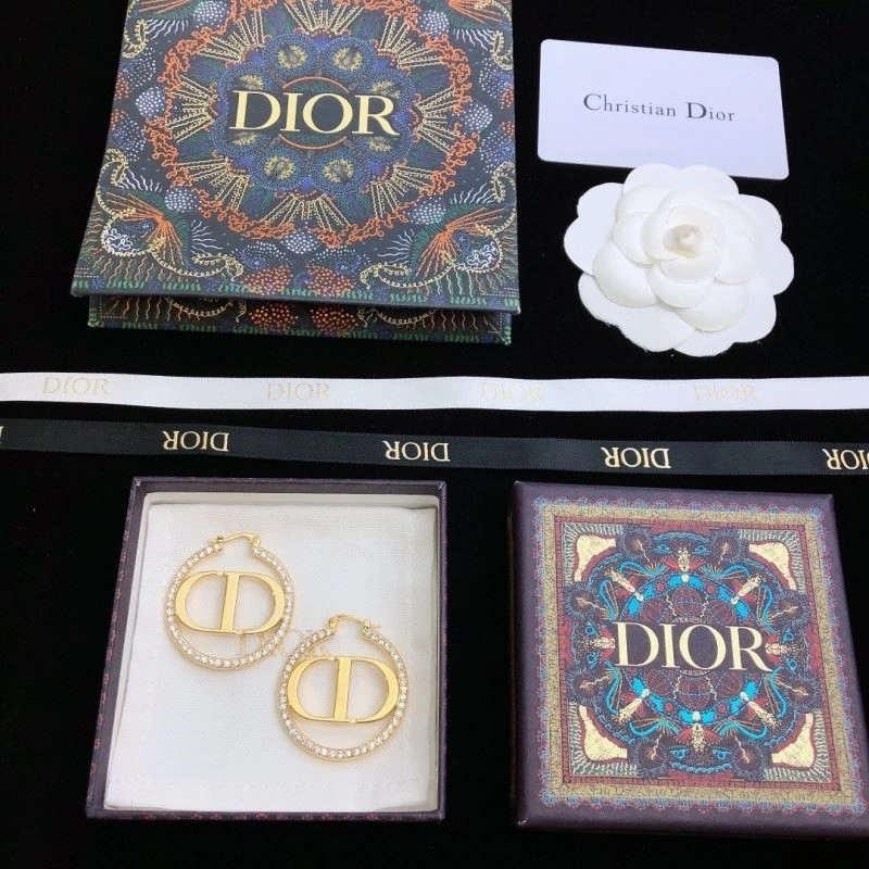 Christian Dior Earrings HighQuality 233495