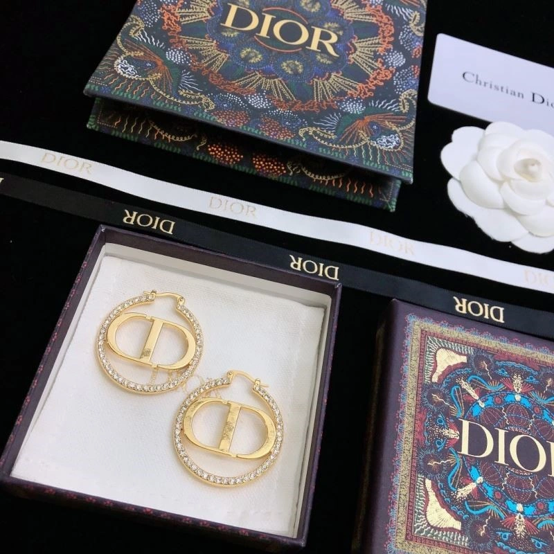 Christian Dior Earrings HighQuality 233495