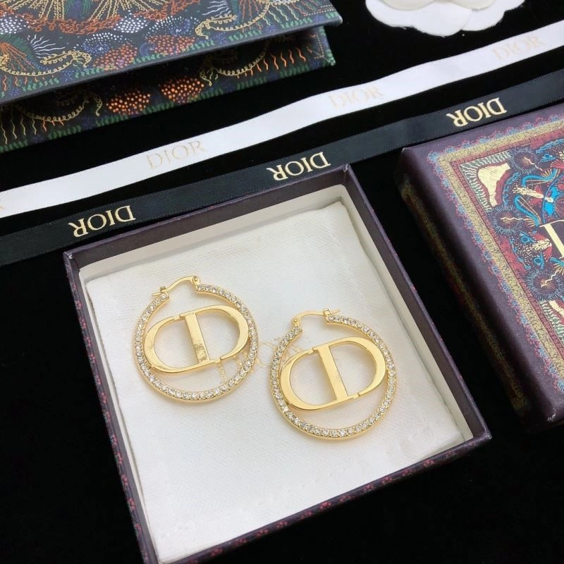 Christian Dior Earrings HighQuality 233495