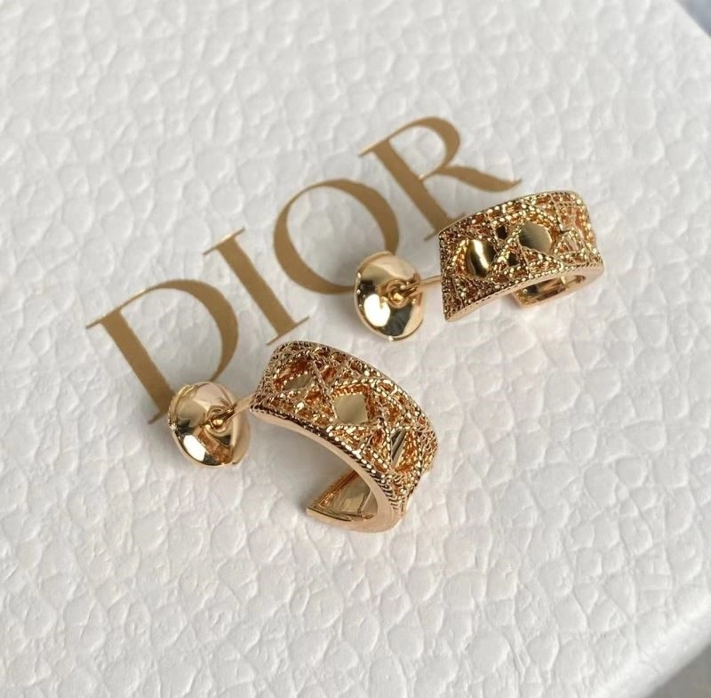 Lightweight Christian Dior Earrings 233487