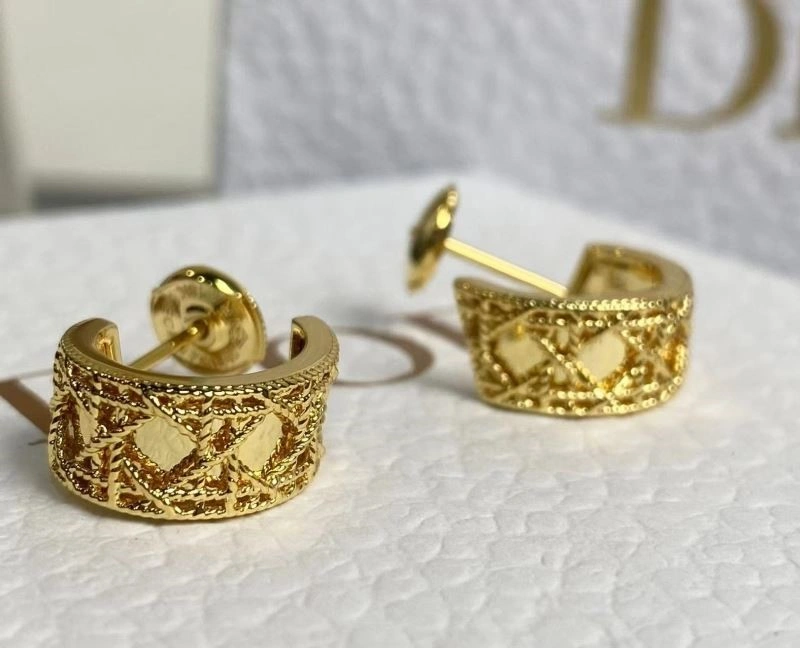 Popular Christian Dior Earrings 233489