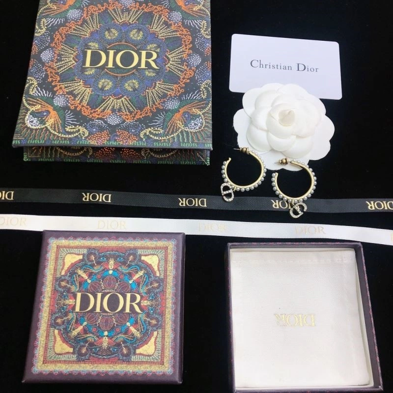 Stylish Christian Dior Earrings 233484