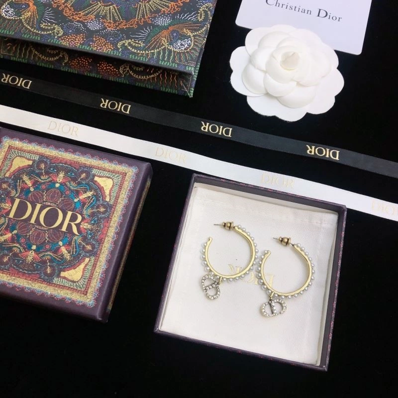 Stylish Christian Dior Earrings 233484