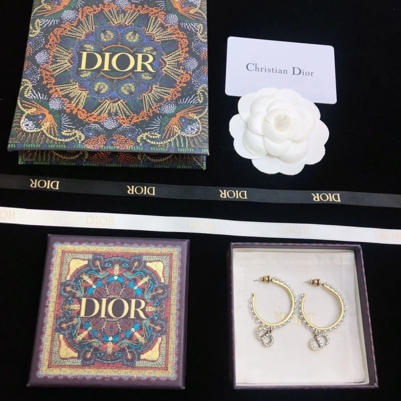 Stylish Christian Dior Earrings 233484