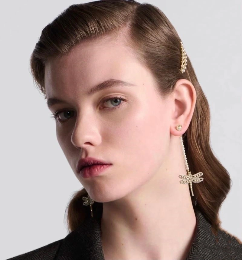Attractive Christian Dior Earrings 233483