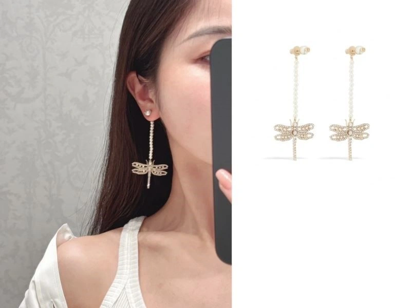 Attractive Christian Dior Earrings 233483