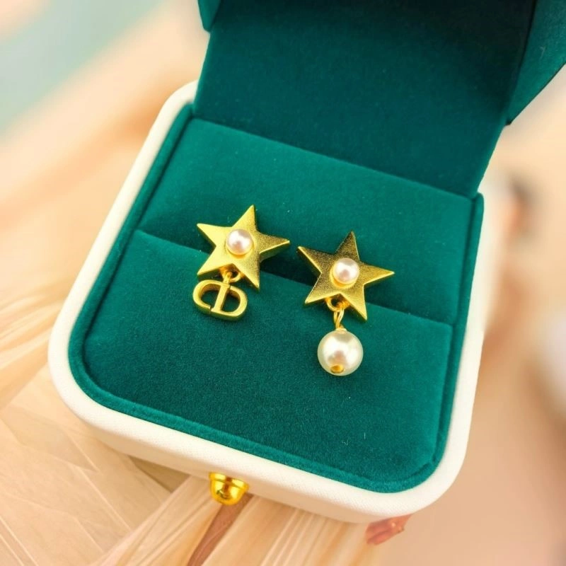 Popular Christian Dior Earrings 233521