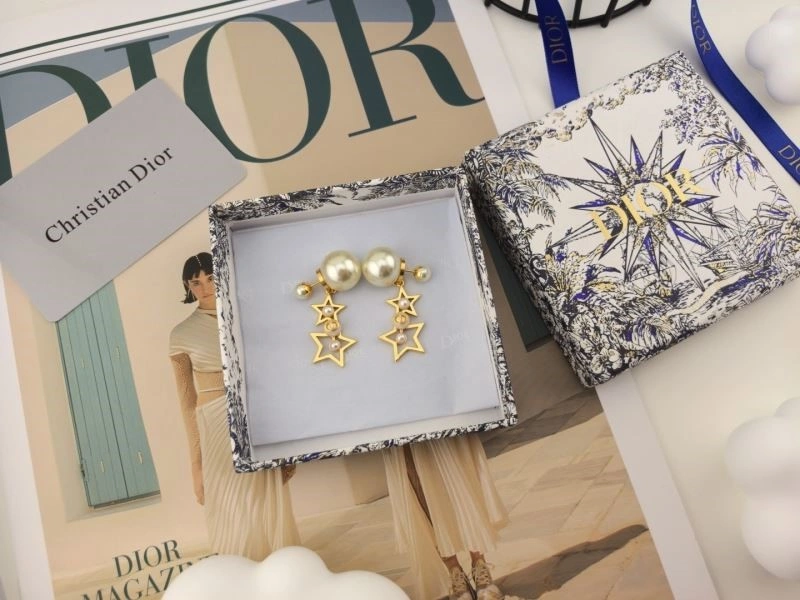 Christian Dior Earrings Sporty 233459