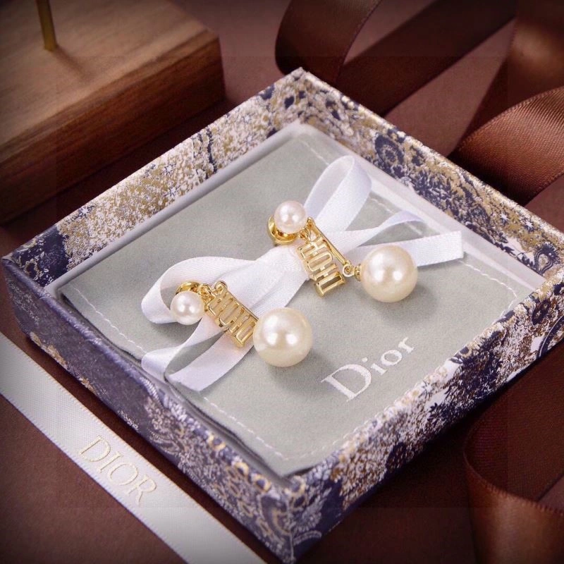 Christian Dior Earrings Stylish 233482