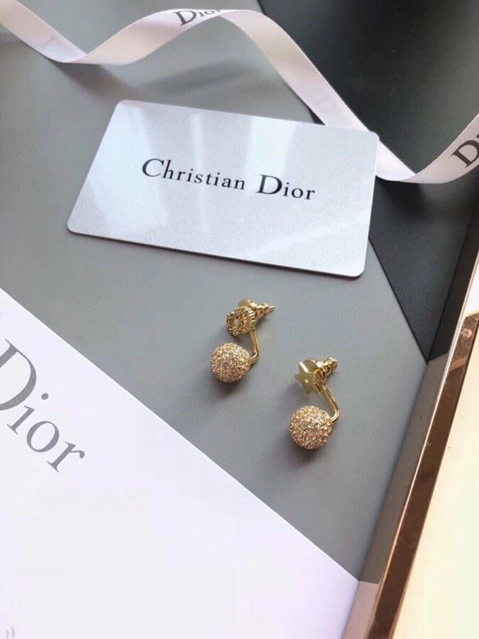 StreetReady Christian Dior Earrings 233444