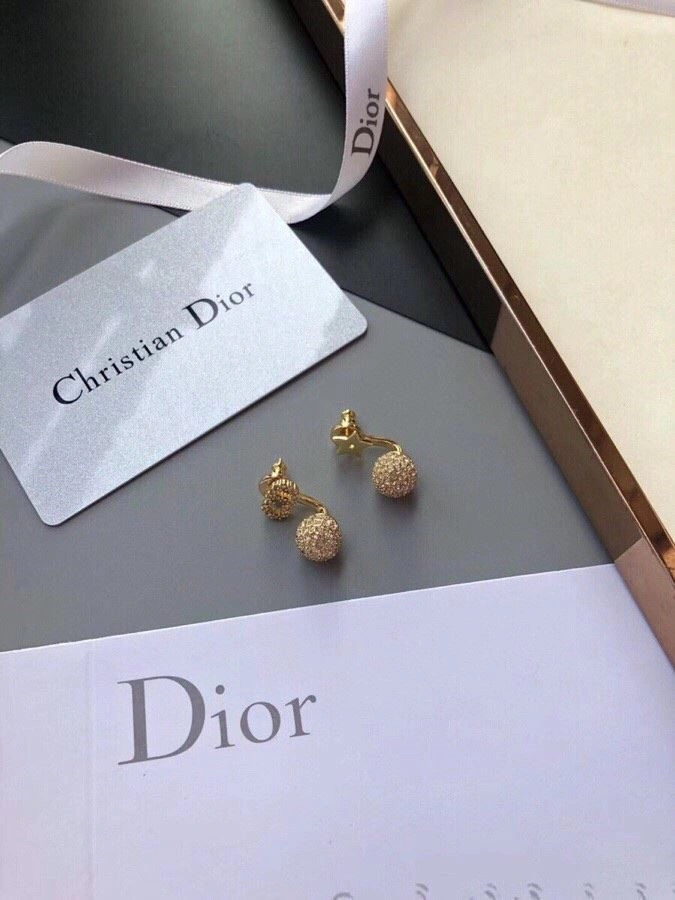 StreetReady Christian Dior Earrings 233444