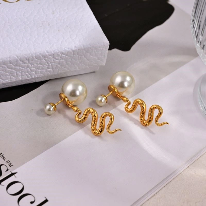 Christian Dior Earrings EasyMatch 233438