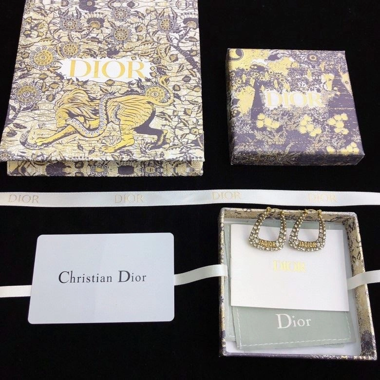 Christian Dior Earrings Sleek 233434