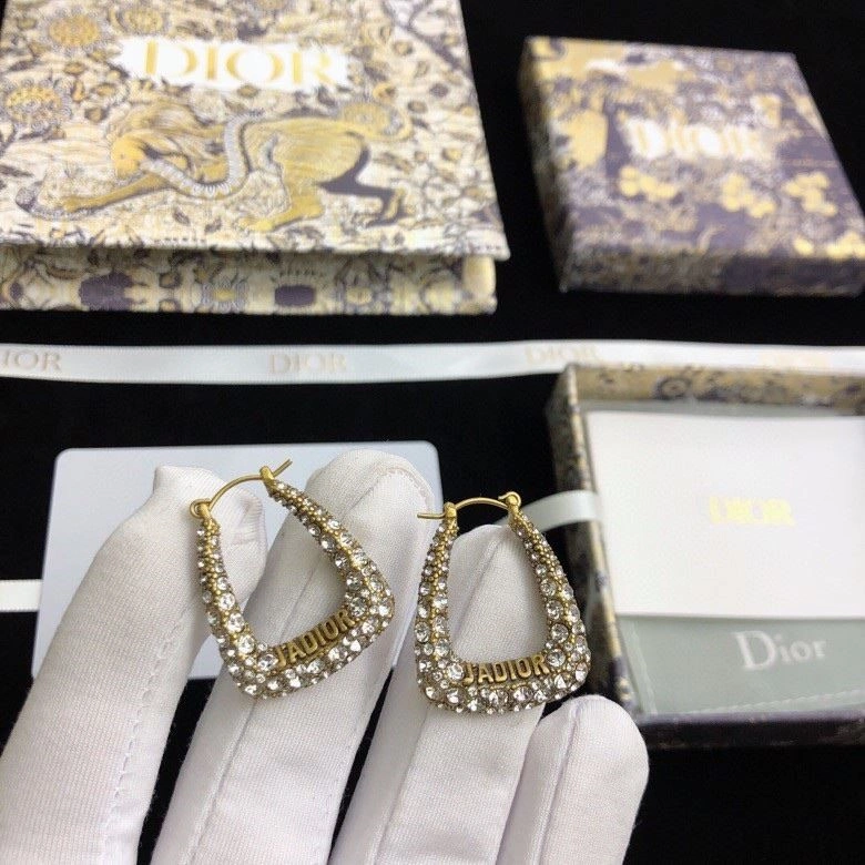 Christian Dior Earrings Sleek 233434