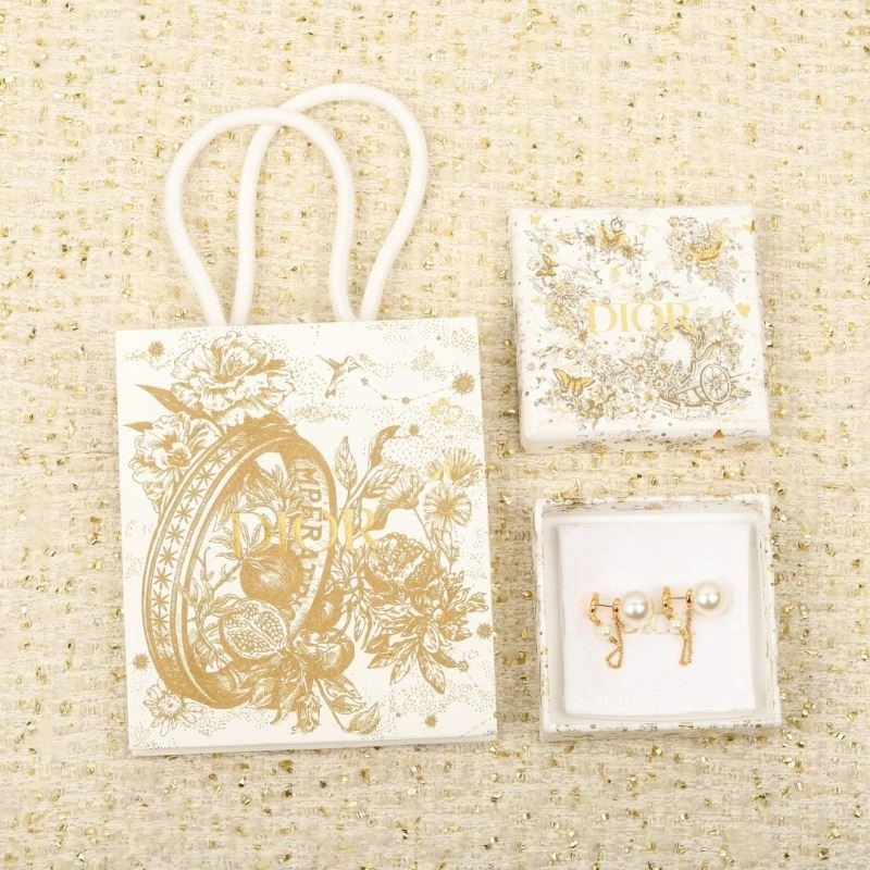 StreetReady Christian Dior Earrings 233432