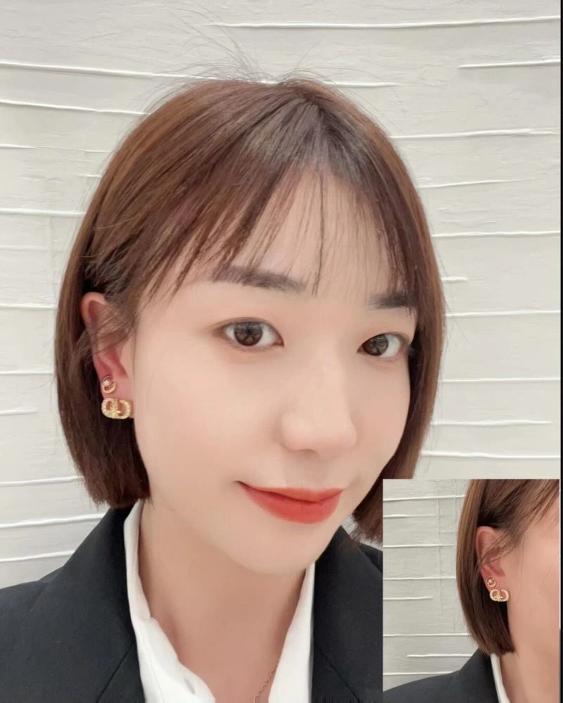 Christian Dior Earrings Original 233428