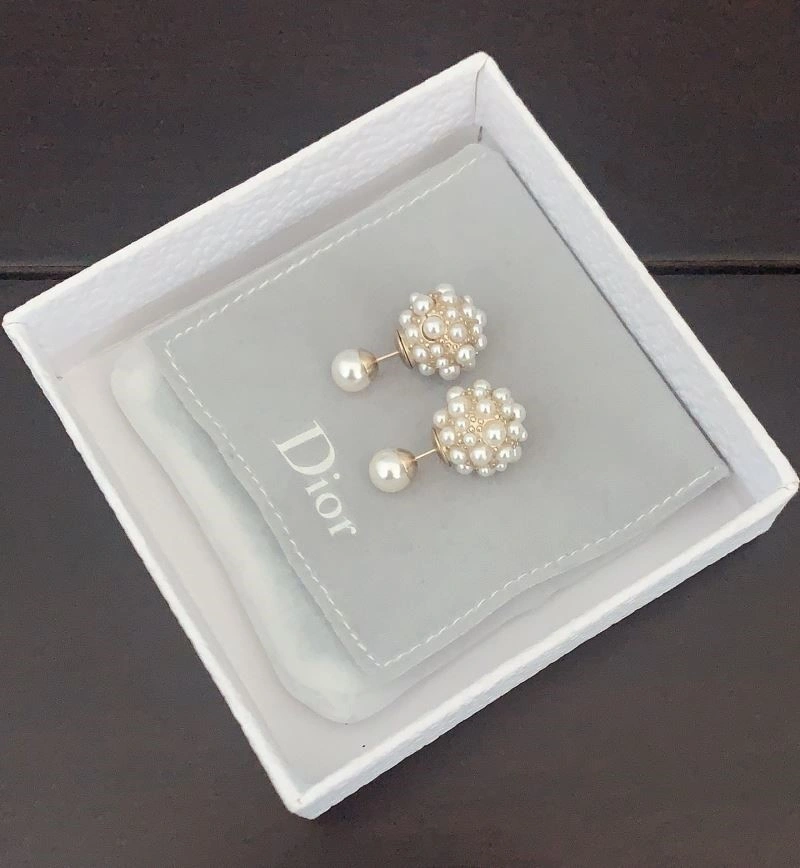 Christian Dior Earrings Colorful 233419