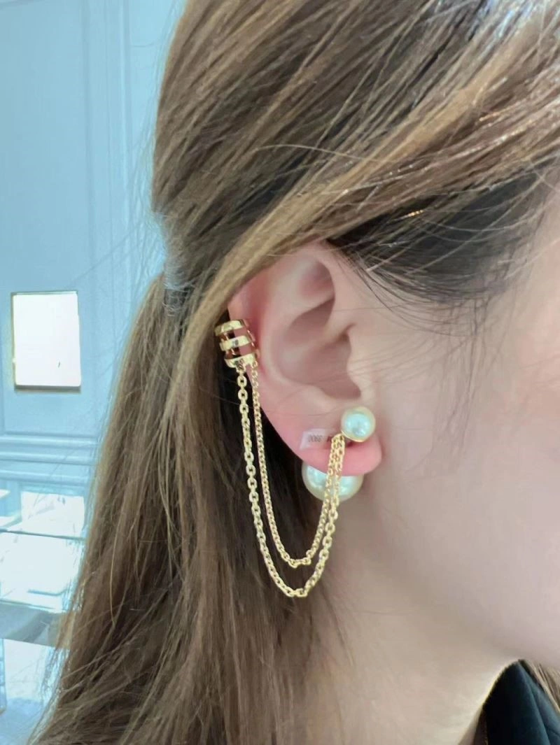 Christian Dior Earrings Casual 233461