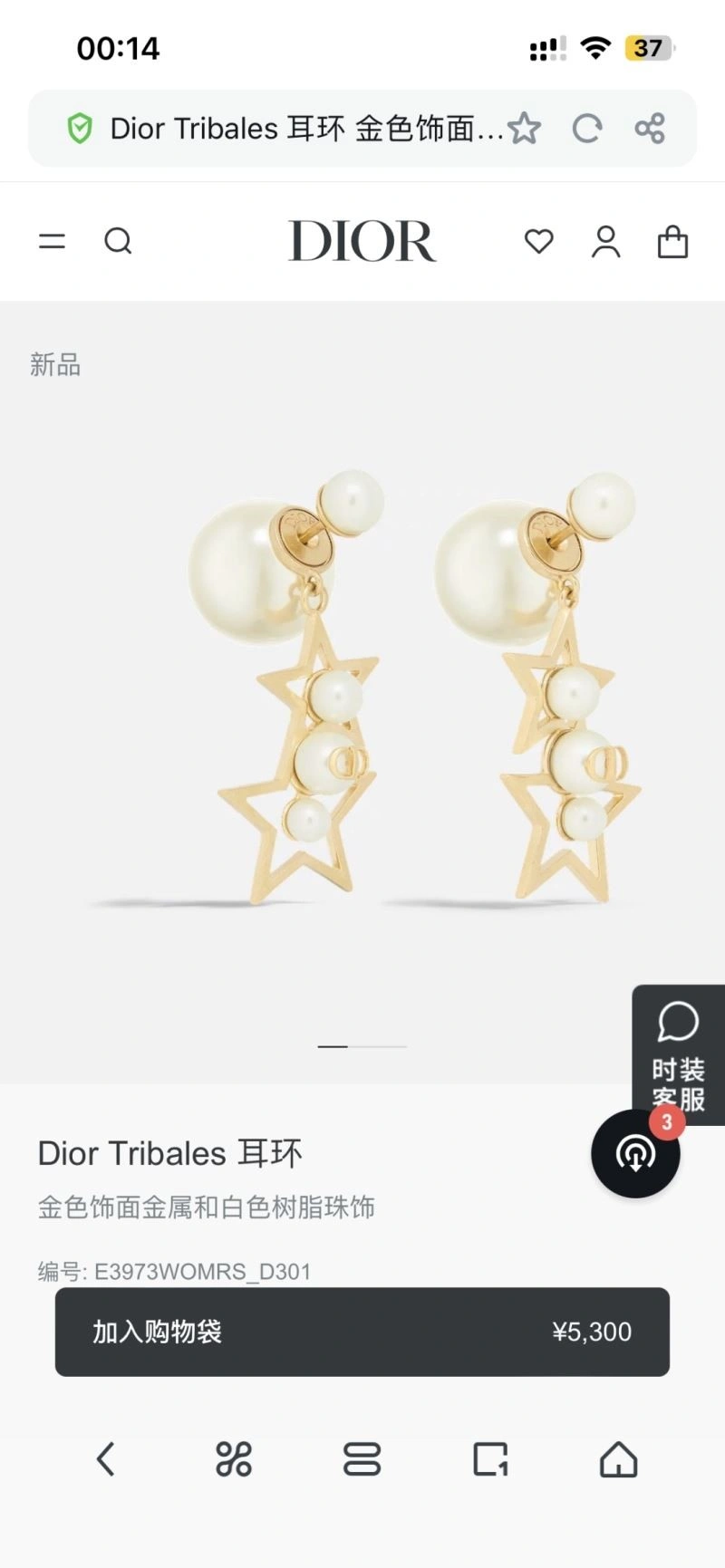 Christian Dior Earrings Unisex 233248