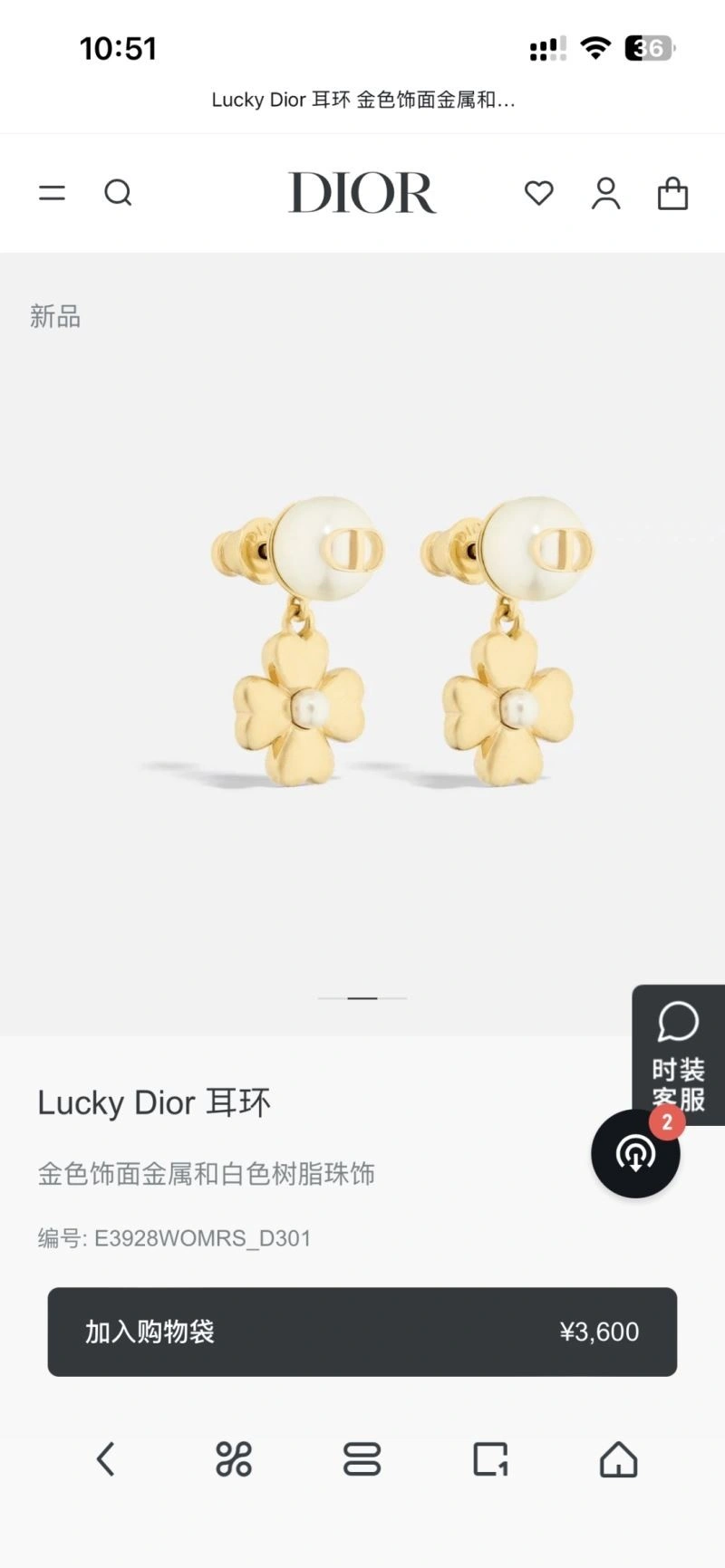 Efficient Christian Dior Earrings 233300