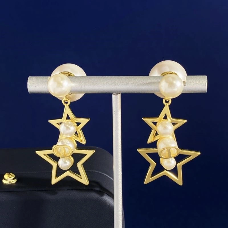 Christian Dior Earrings Packable 233274