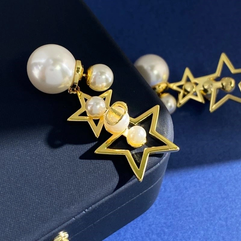 Christian Dior Earrings Packable 233274