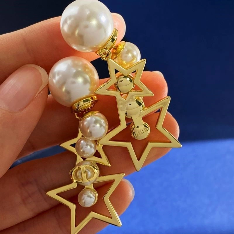 Christian Dior Earrings Packable 233274