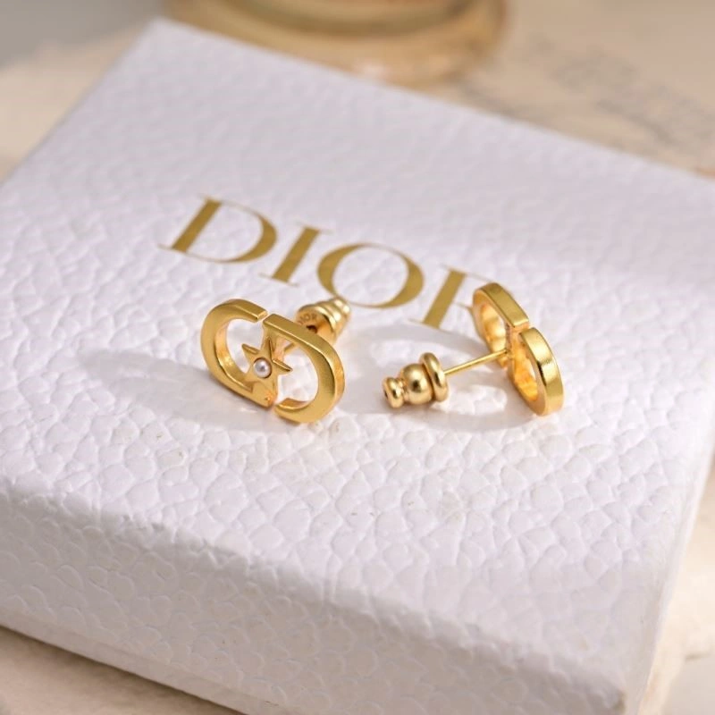 Durable Christian Dior Earrings 233209