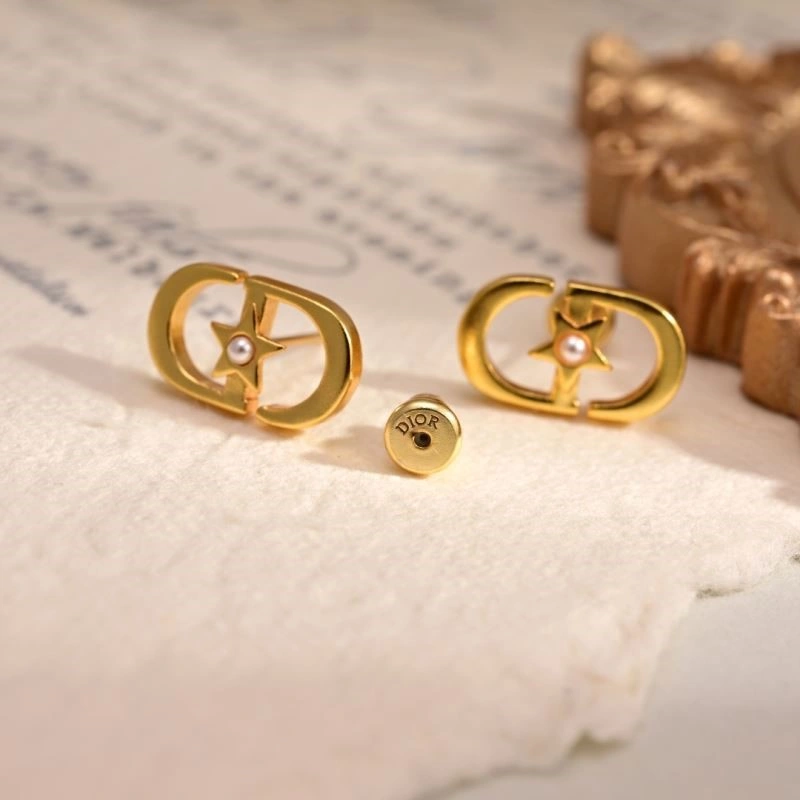 Durable Christian Dior Earrings 233209
