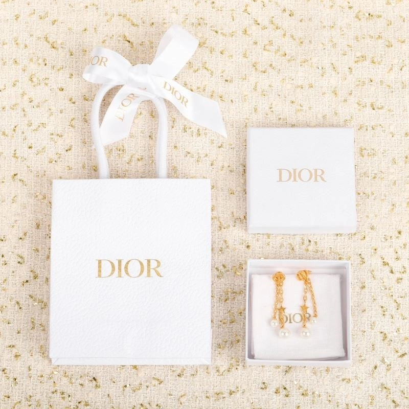 Packable Christian Dior Earrings 233228