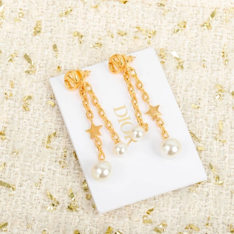 Packable Christian Dior Earrings 233228