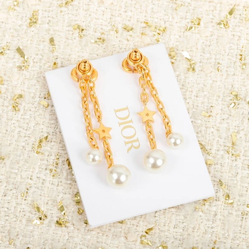 Packable Christian Dior Earrings 233228