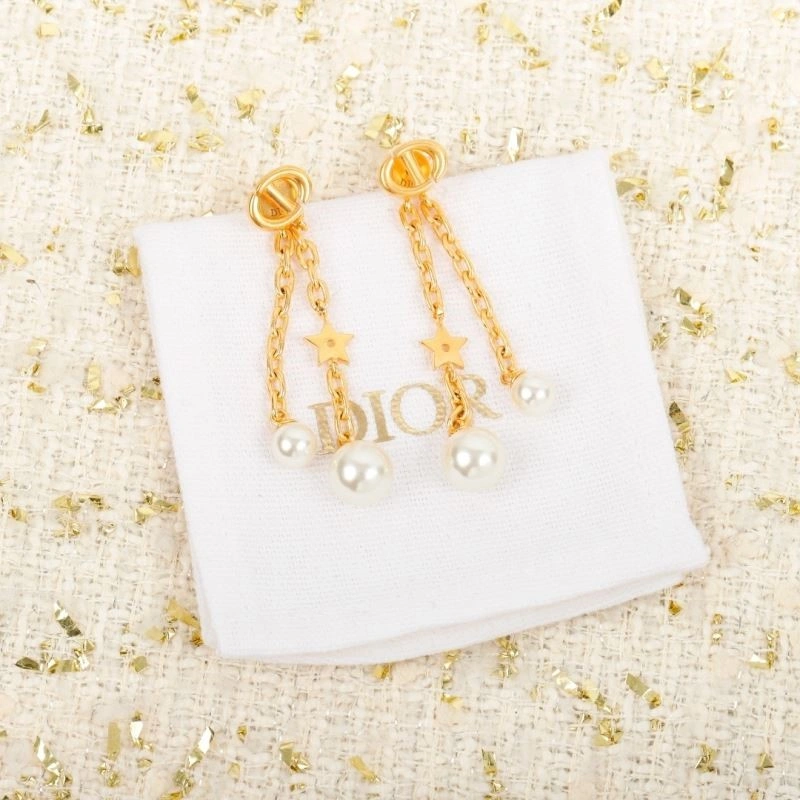 Packable Christian Dior Earrings 233228