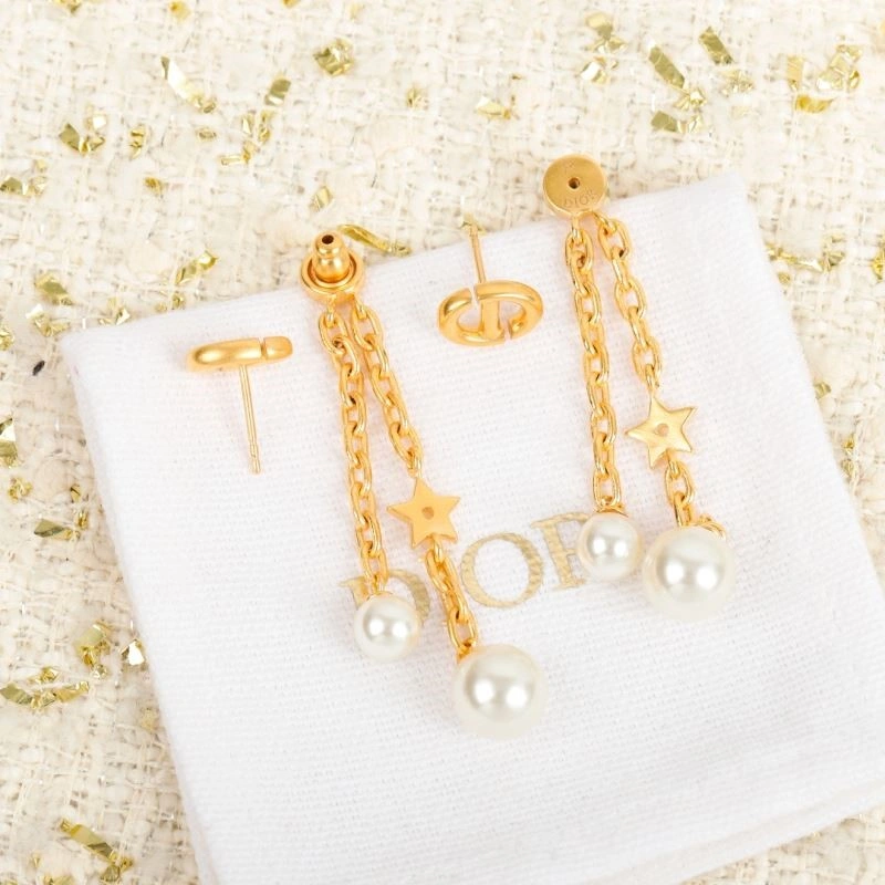 Packable Christian Dior Earrings 233228