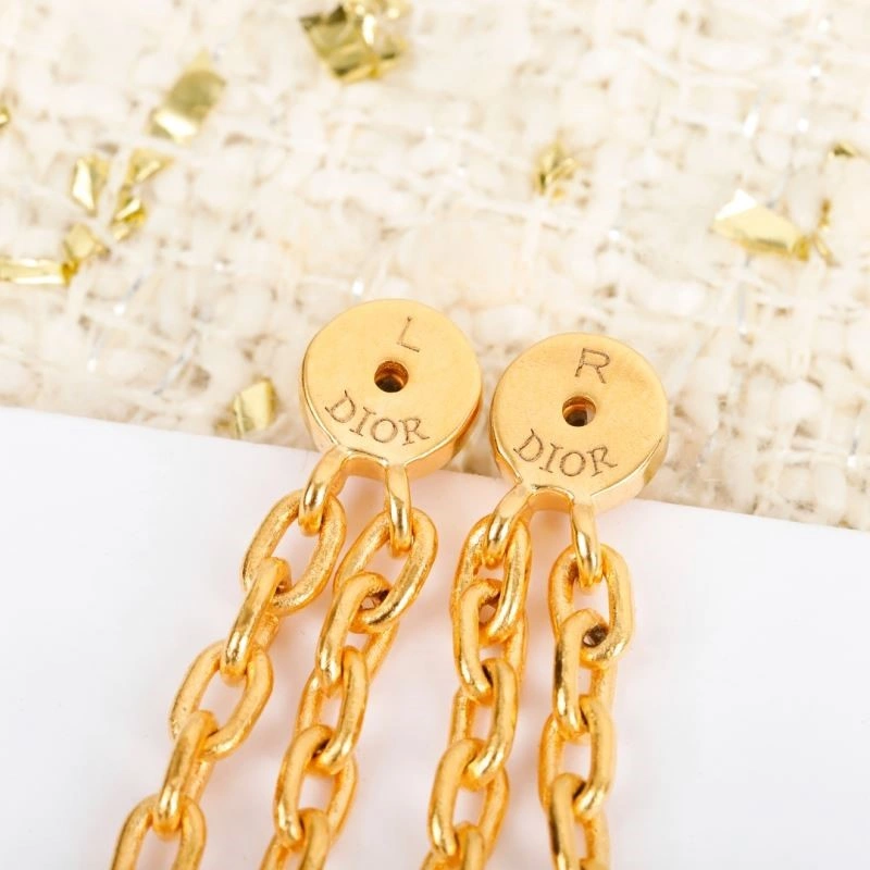 Packable Christian Dior Earrings 233228