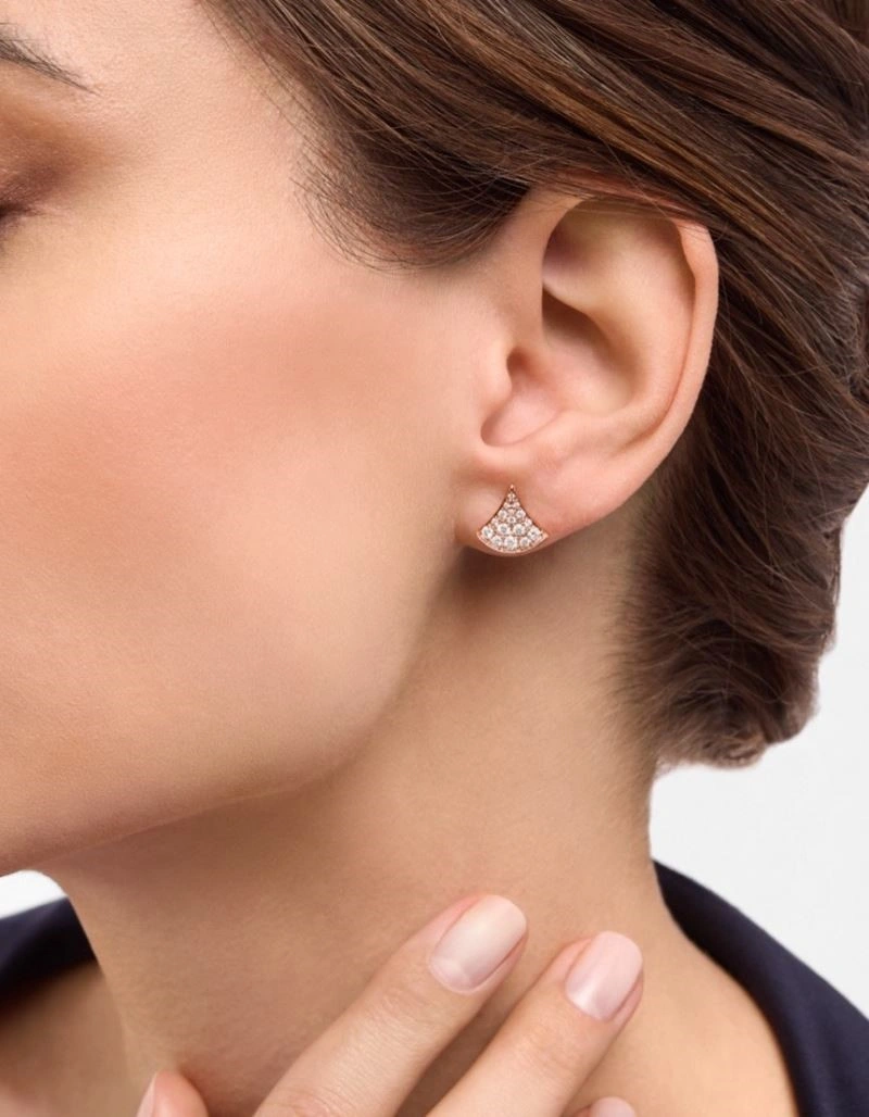Refined Christian Dior Earrings 233199