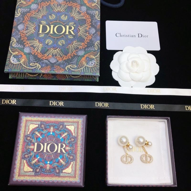 SunProtective Christian Dior Earrings 233194