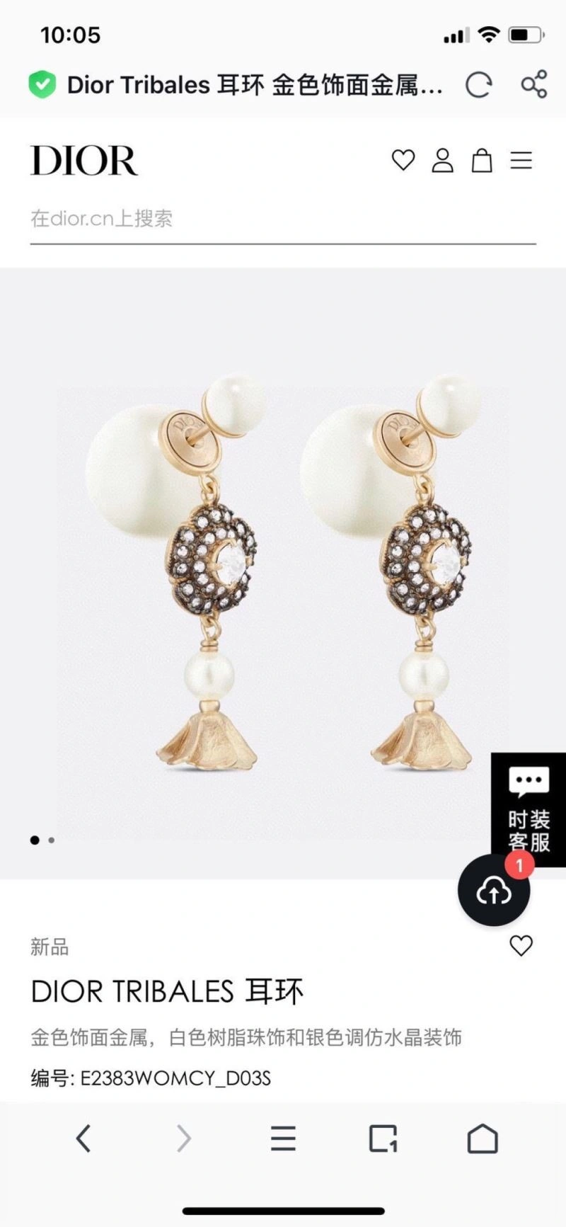 Christian Dior Earrings GoAnywhere 233193
