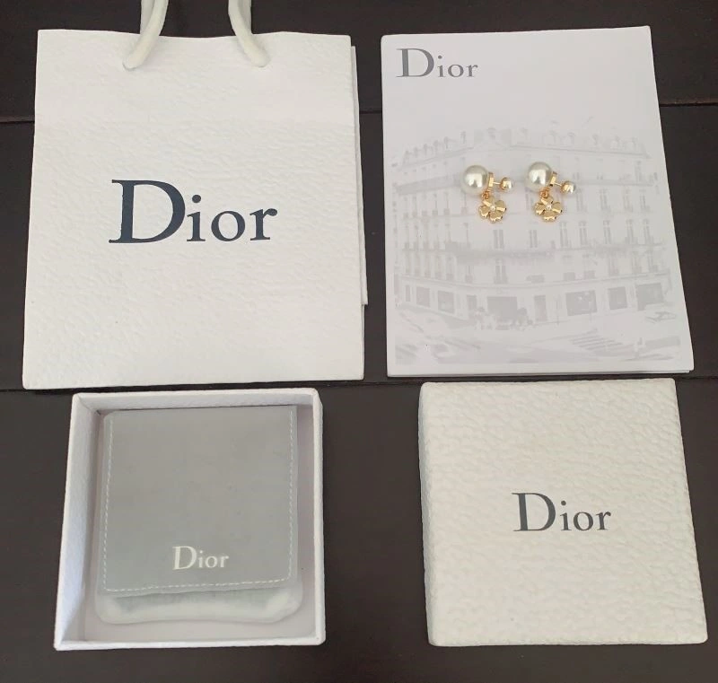 ZipUp Christian Dior Earrings 233184