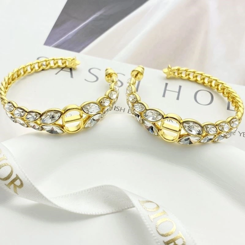 Colorful Christian Dior Earrings 233242
