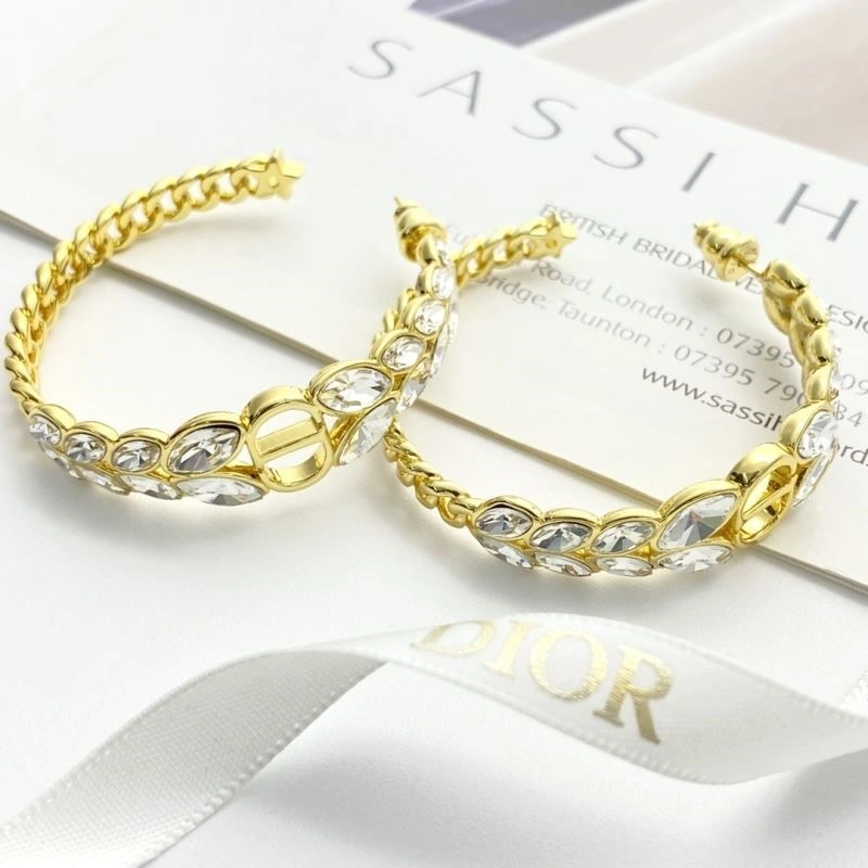 Colorful Christian Dior Earrings 233242
