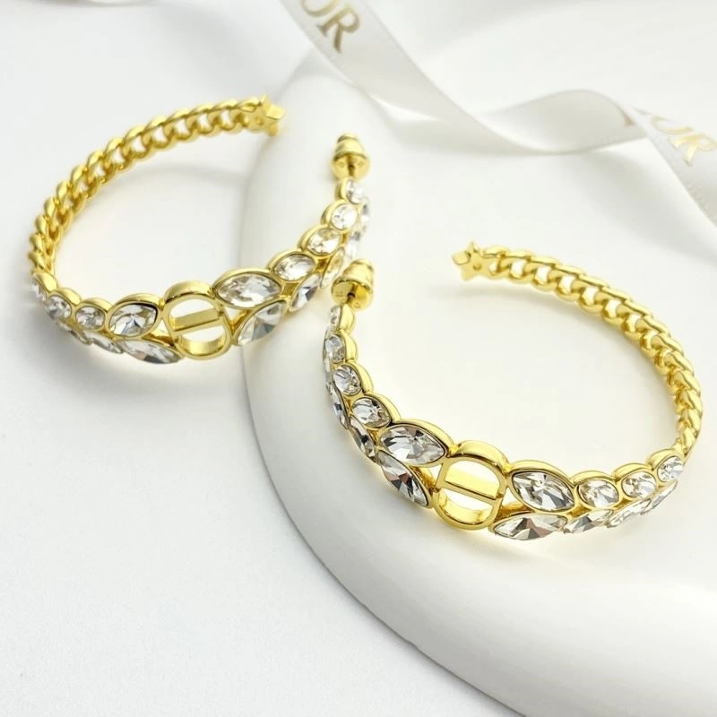 Colorful Christian Dior Earrings 233242