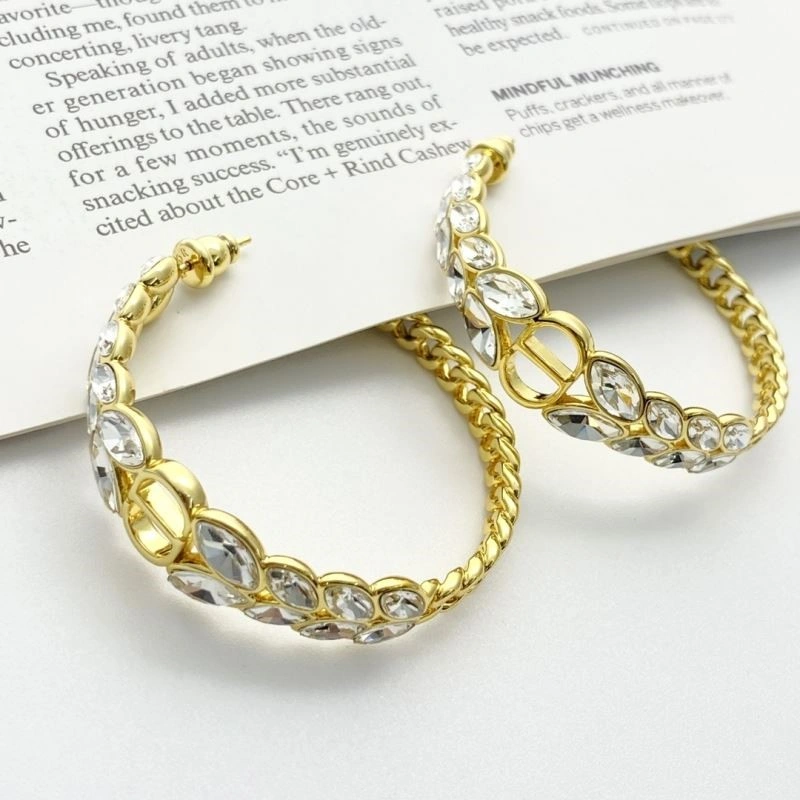 Colorful Christian Dior Earrings 233242
