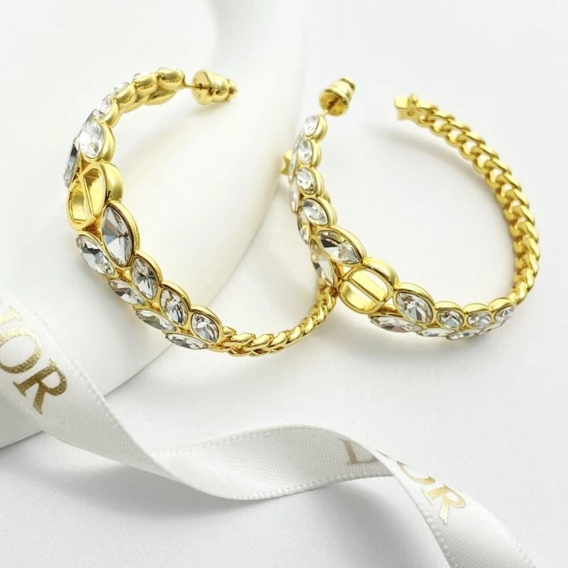 Colorful Christian Dior Earrings 233242